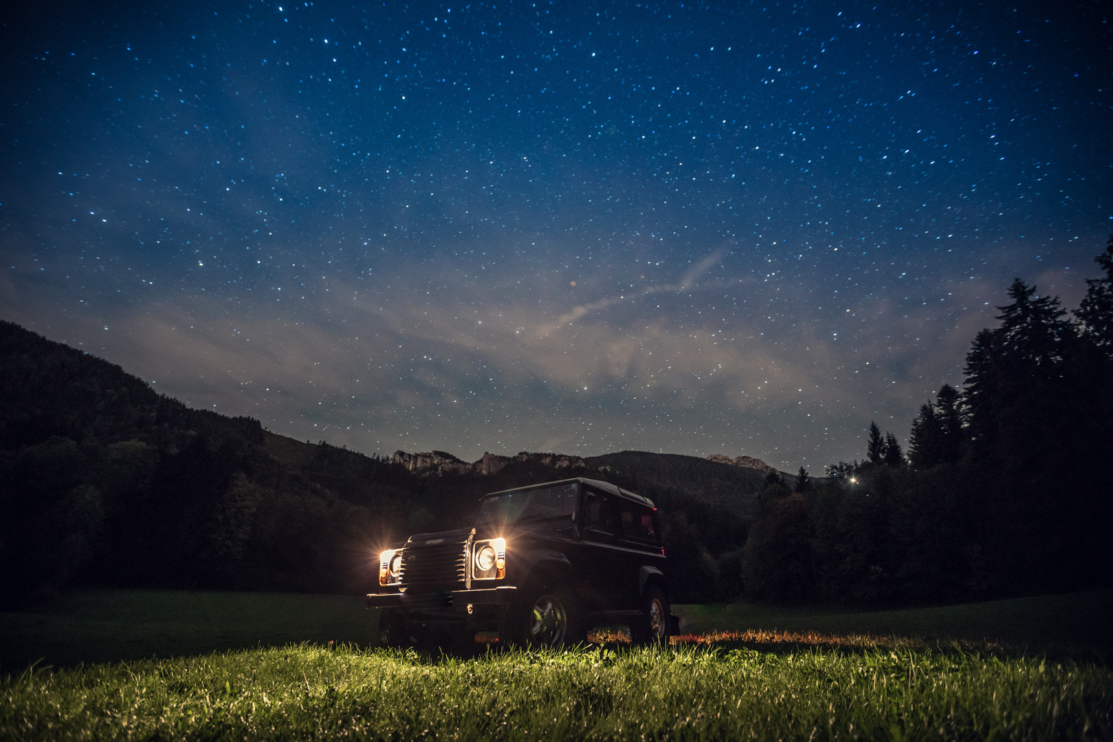 Landy im Freigehege 