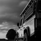 Landy in Black and White