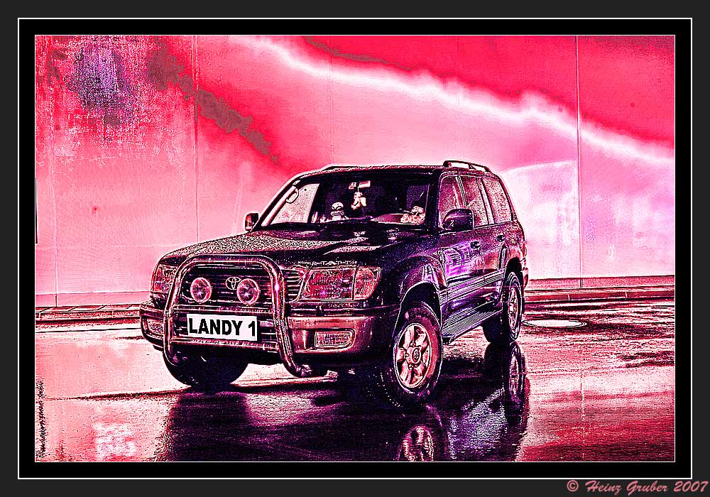 Landy in Rain