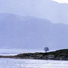 Landzunge in im Fjord von Norwegen