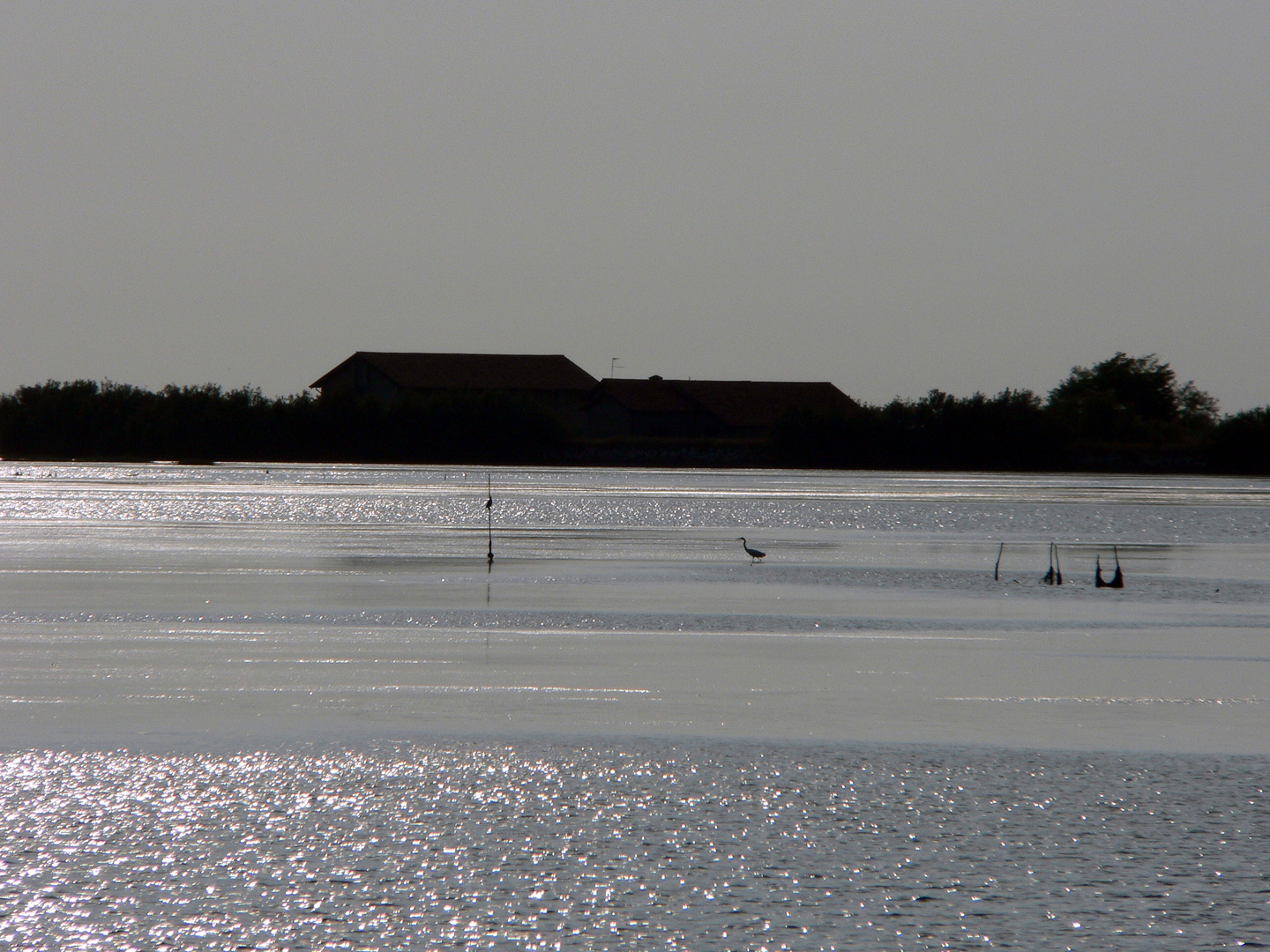 Landzunge vor Grado