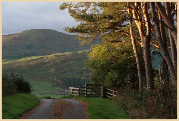 lane from crookhouse 2