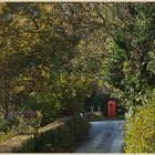 lane in loweswater