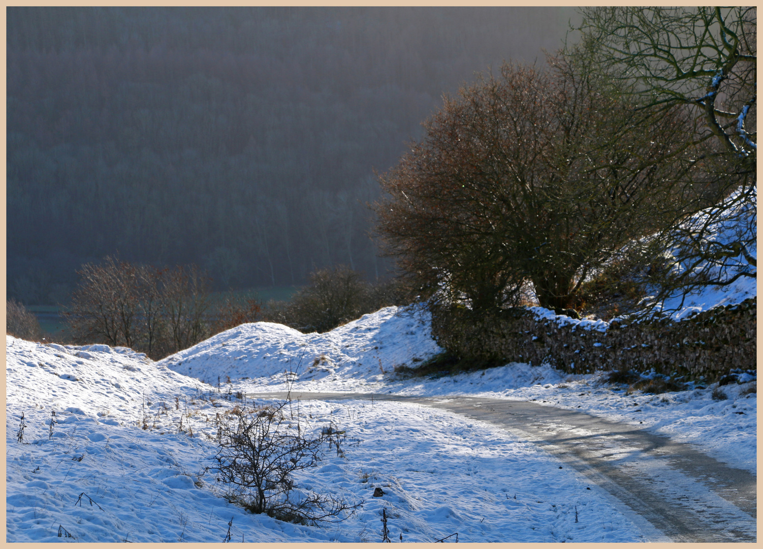 lane near applegarth