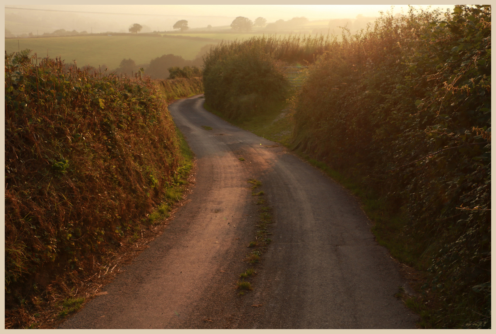 lane near farwood barton