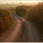 lane near farwood barton