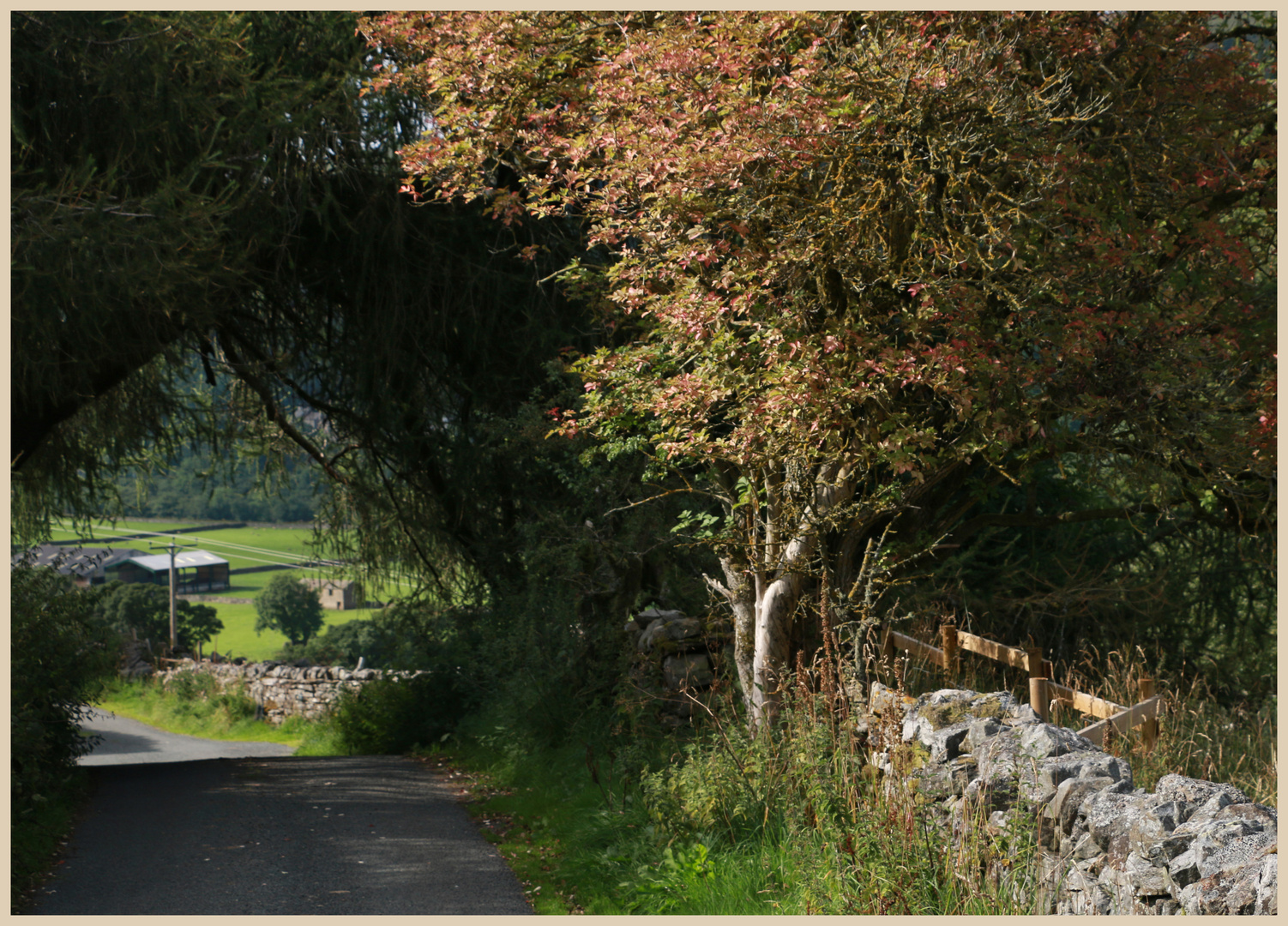 Lane near Gunnerside 1