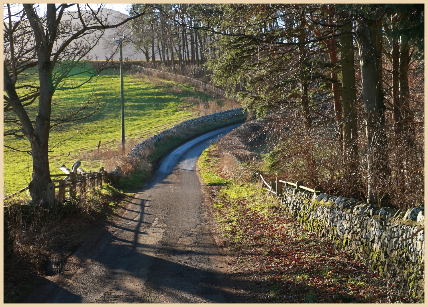 lane near westnewton 1