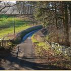 lane near westnewton 1