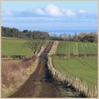 lane to the sea swinhoe farm