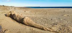 lang ausgestreckt legte sie ihren Astralkörper in den Sand