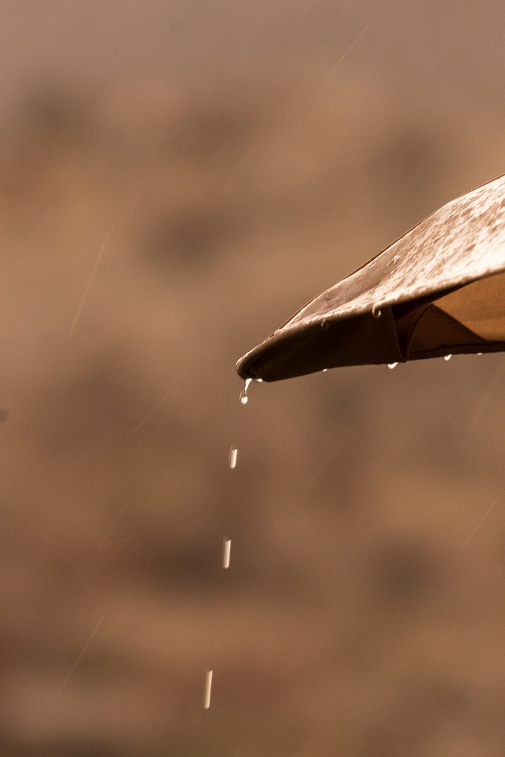 Lang ersehnter Regen in Namibia, Oktober 2018