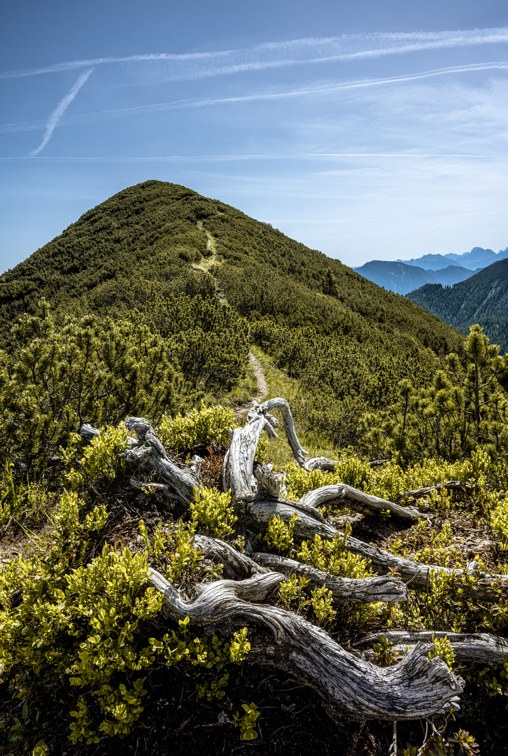 Lang ist der Weg