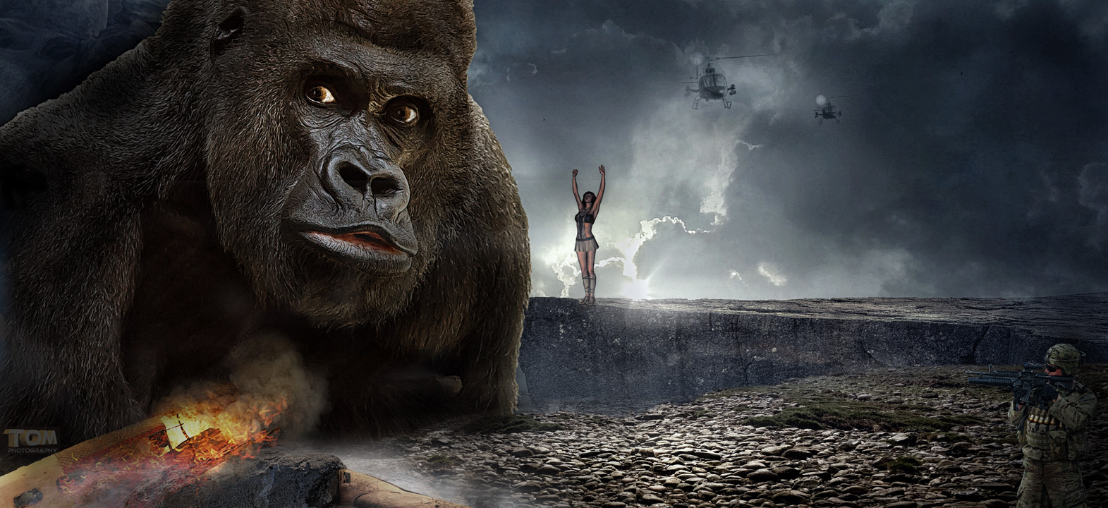 Lang lebe der König...... Foto & Bild fotomontage, science fiction