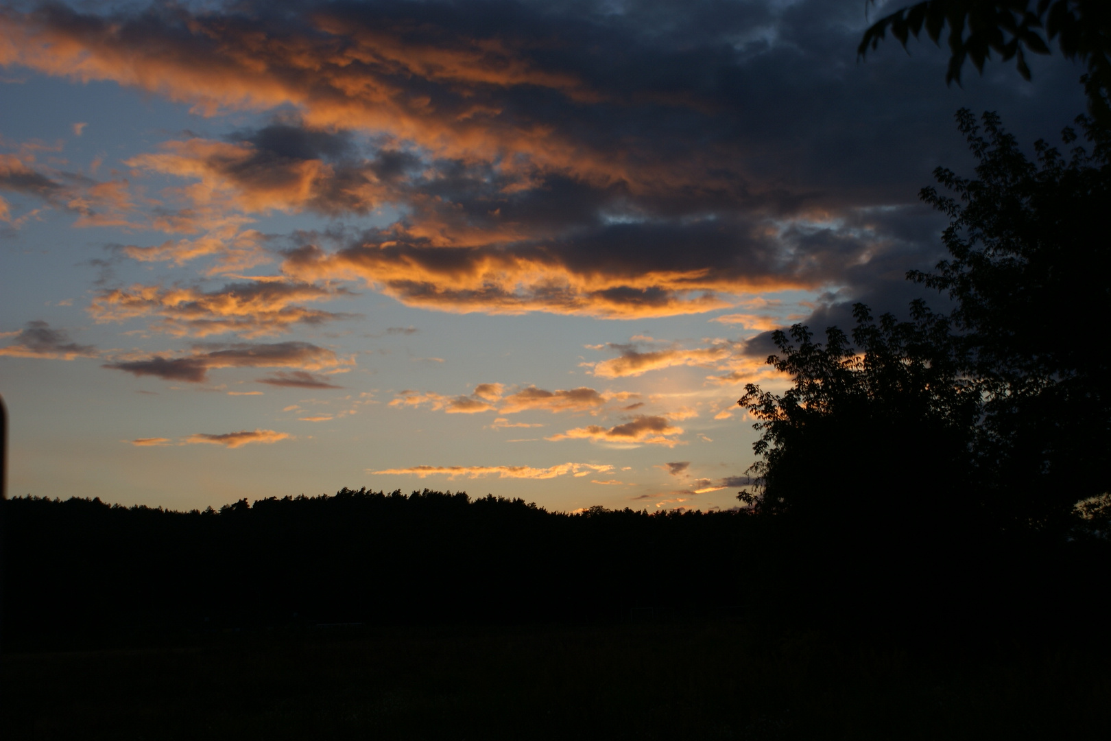 Lang lebe die Nacht