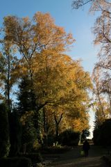 lang streckt sie sich hin, die Friedhofsallee