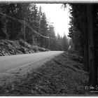Lang und einsam - eine Straße in den Wäldern von Schweden