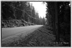 Lang und einsam - eine Straße in den Wäldern von Schweden