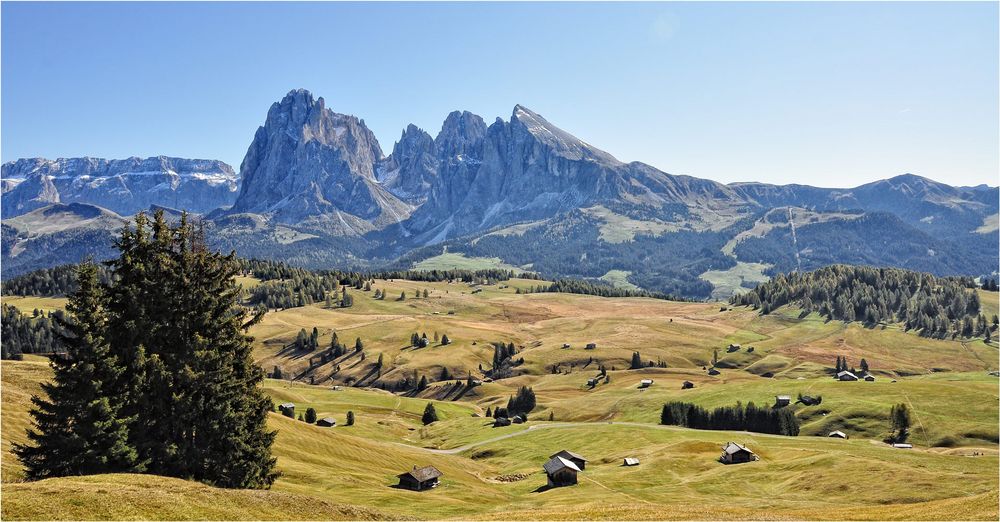 LANG UND PLATTKOFEL VON DER SEISERALM