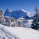 Lang-und Plattkofel von der Seiseralm im Winter