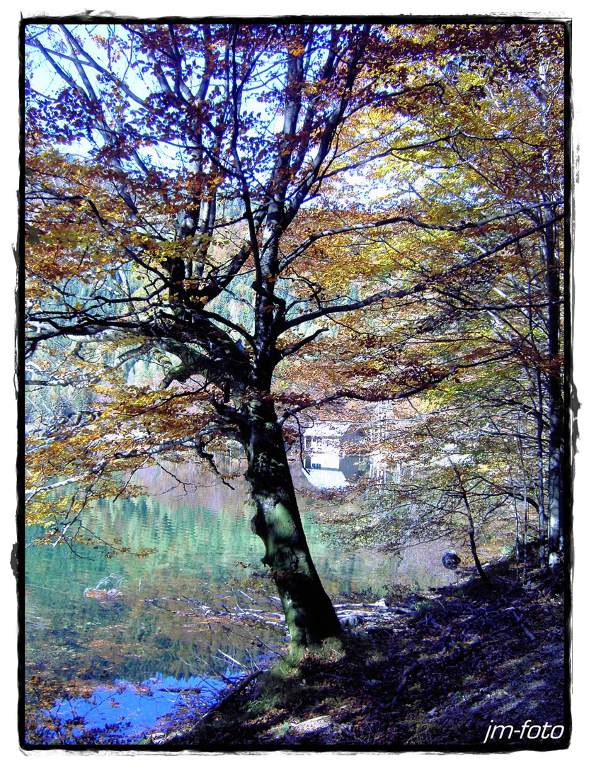 Langbathsee ...