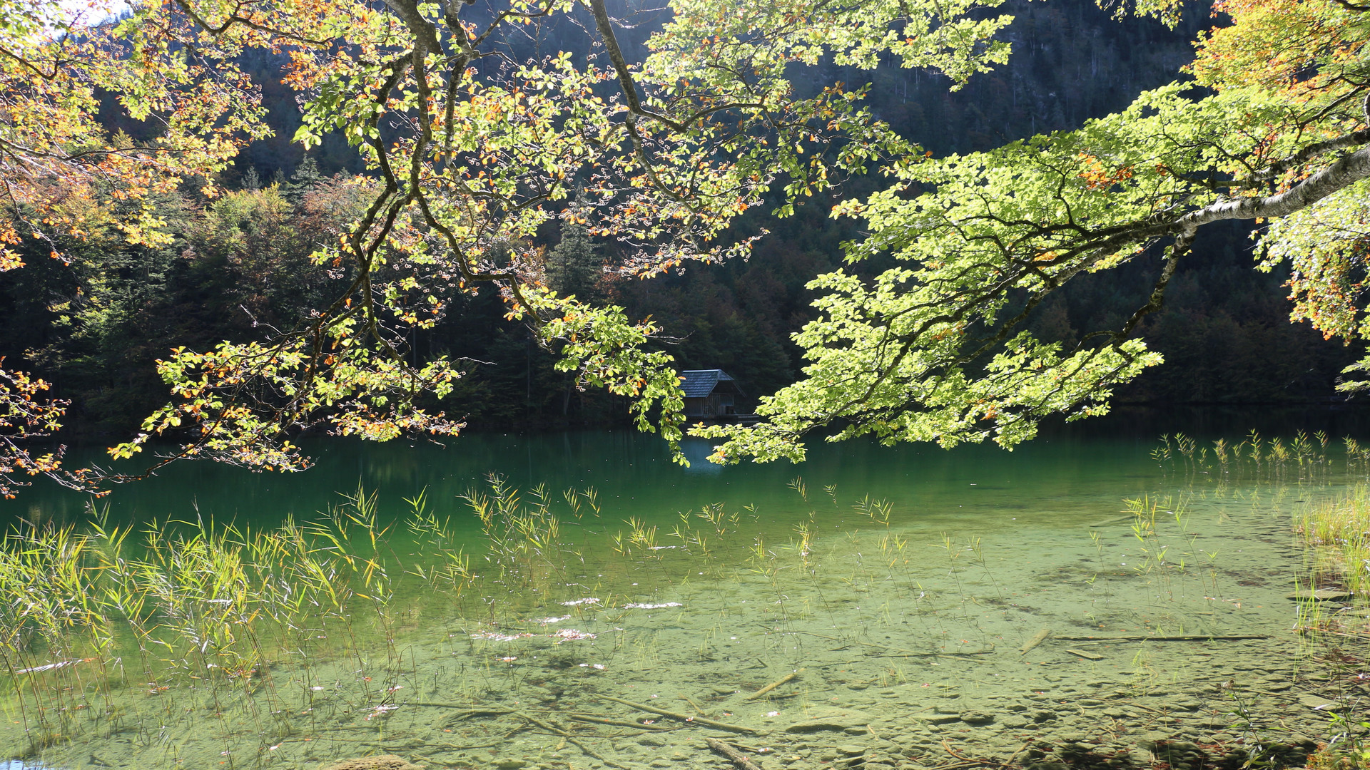 Langbathsee