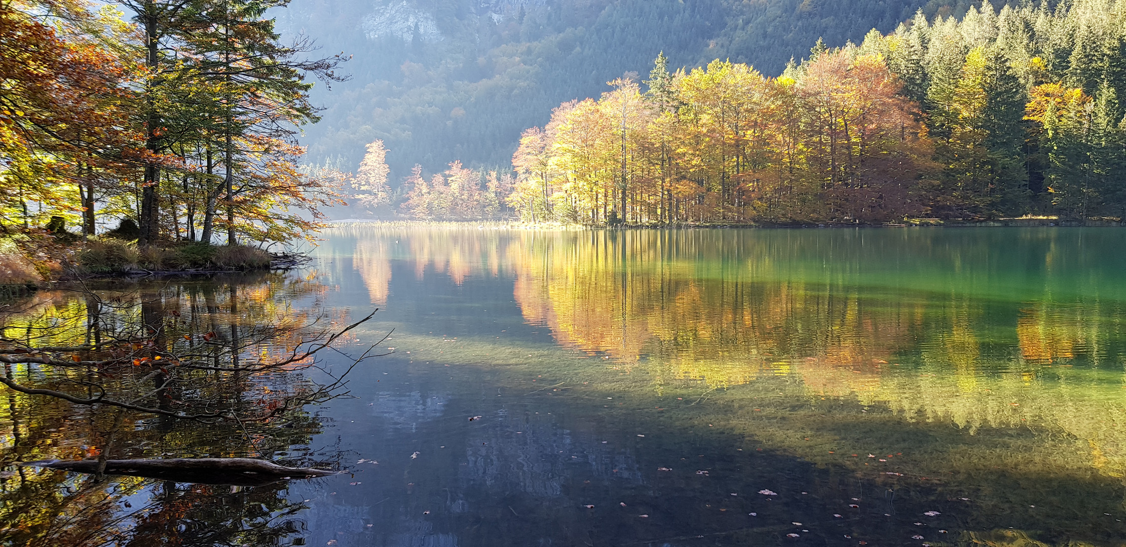 Langbathsee im Herbstlicht