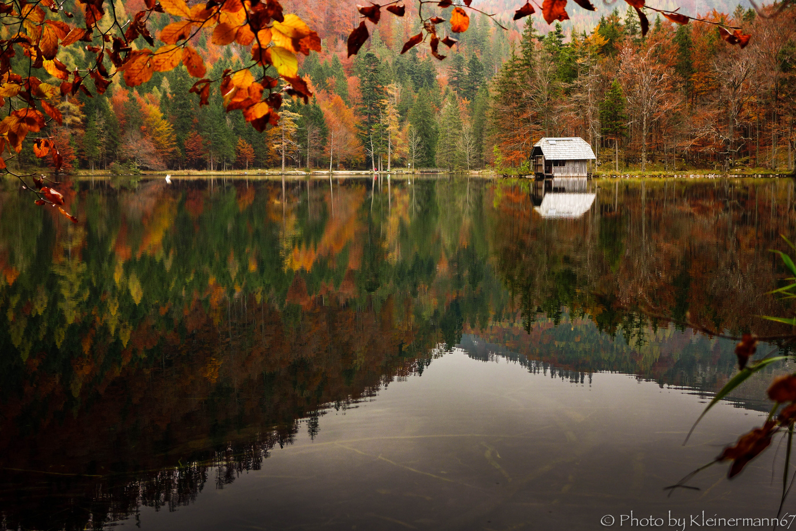 langbathsee , lake, autum, fall , forest, natur