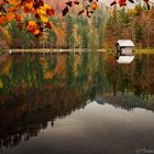 langbathsee , lake, autum, fall , forest, natur