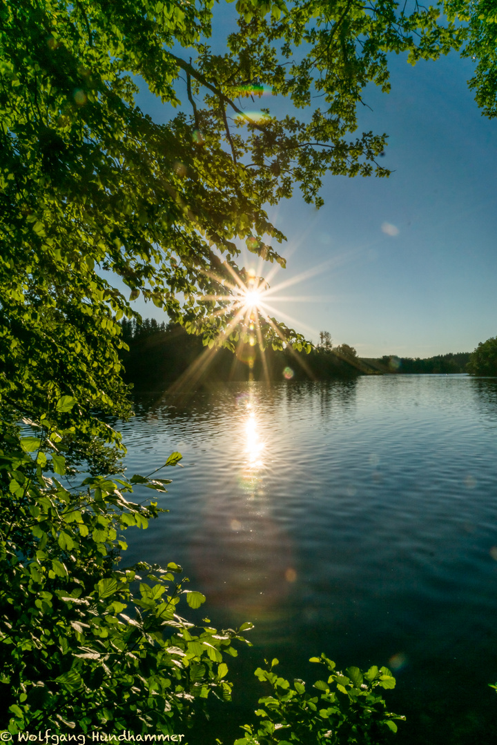 Langbürgener See - Eggstätter Seenplatte