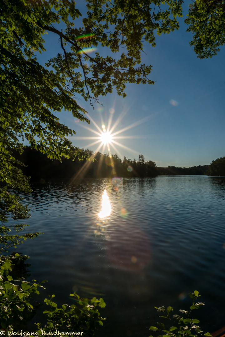 Langbürgener See - Eggstätter Seenplatte