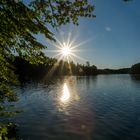 Langbürgener See - Eggstätter Seenplatte