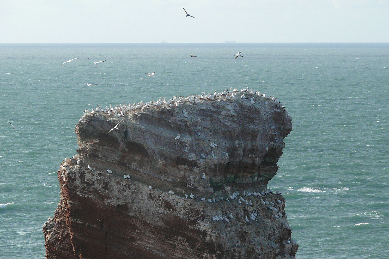 Lange Anna auf Helgoland