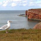 lange Anna mit Möwe Nachbearbeitet