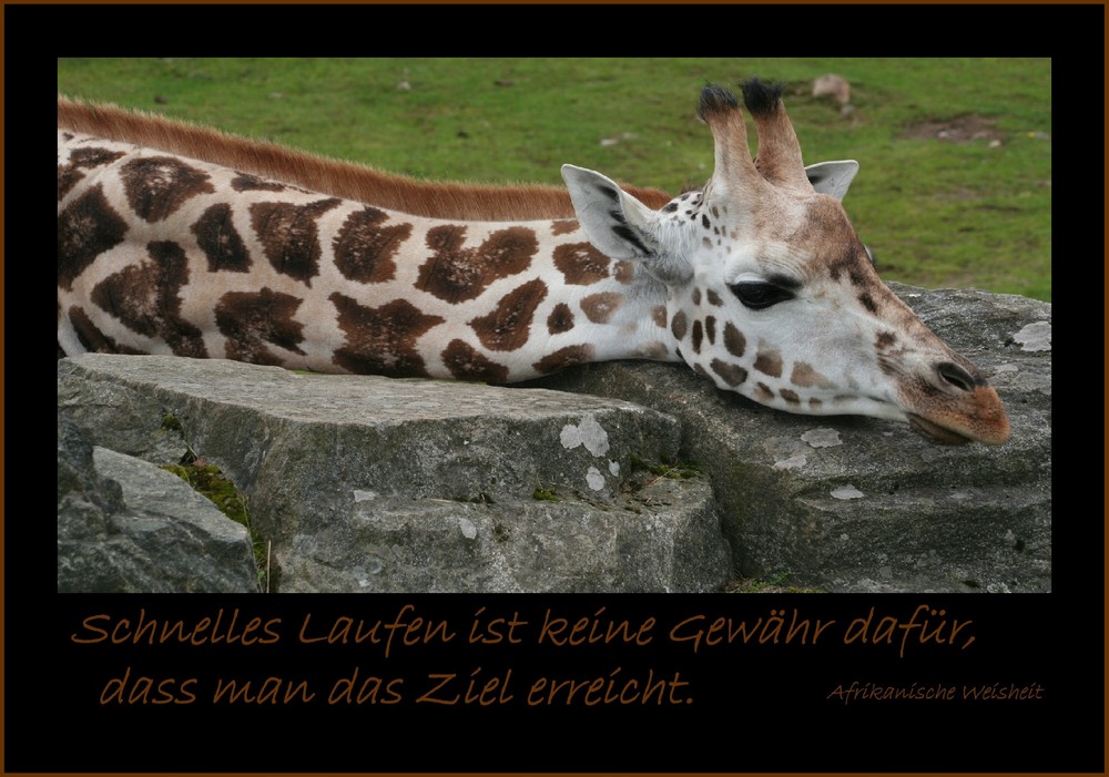 Lange Beine...