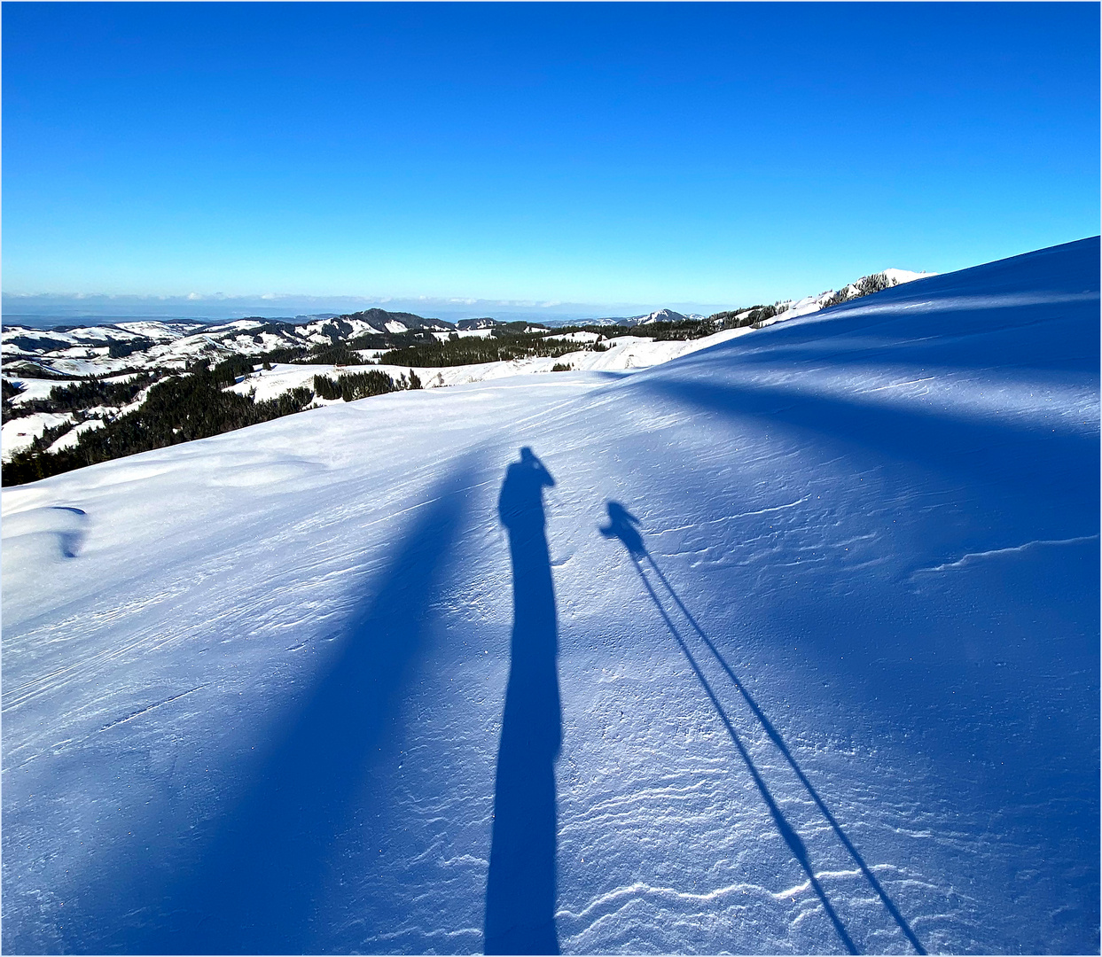 Lange, blaue Schatten während eines Nachmittags-Skitürlis