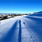 Lange, blaue Schatten während eines Nachmittags-Skitürlis