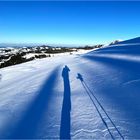 Lange, blaue Schatten während eines Nachmittags-Skitürlis