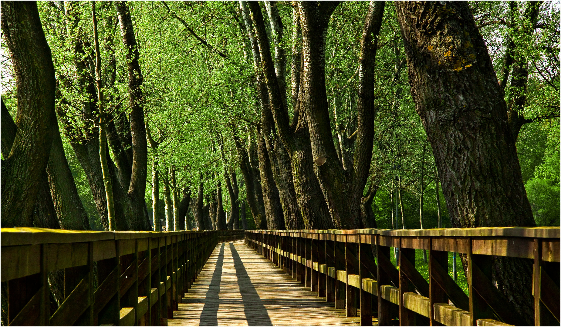 lange Brücke