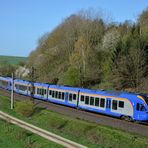 Lange cantus auf dem Weg nach Kassel