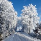 Lange her Winter im Diepholzer Moor vor vier Jahren ! !