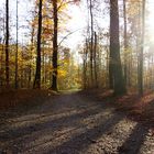 lange Herbst Schatten