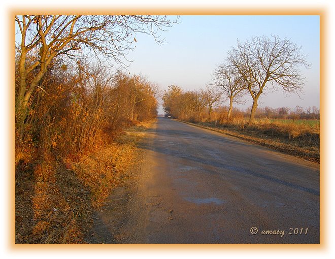 Lange Herbstschatten