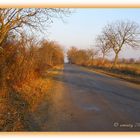 Lange Herbstschatten