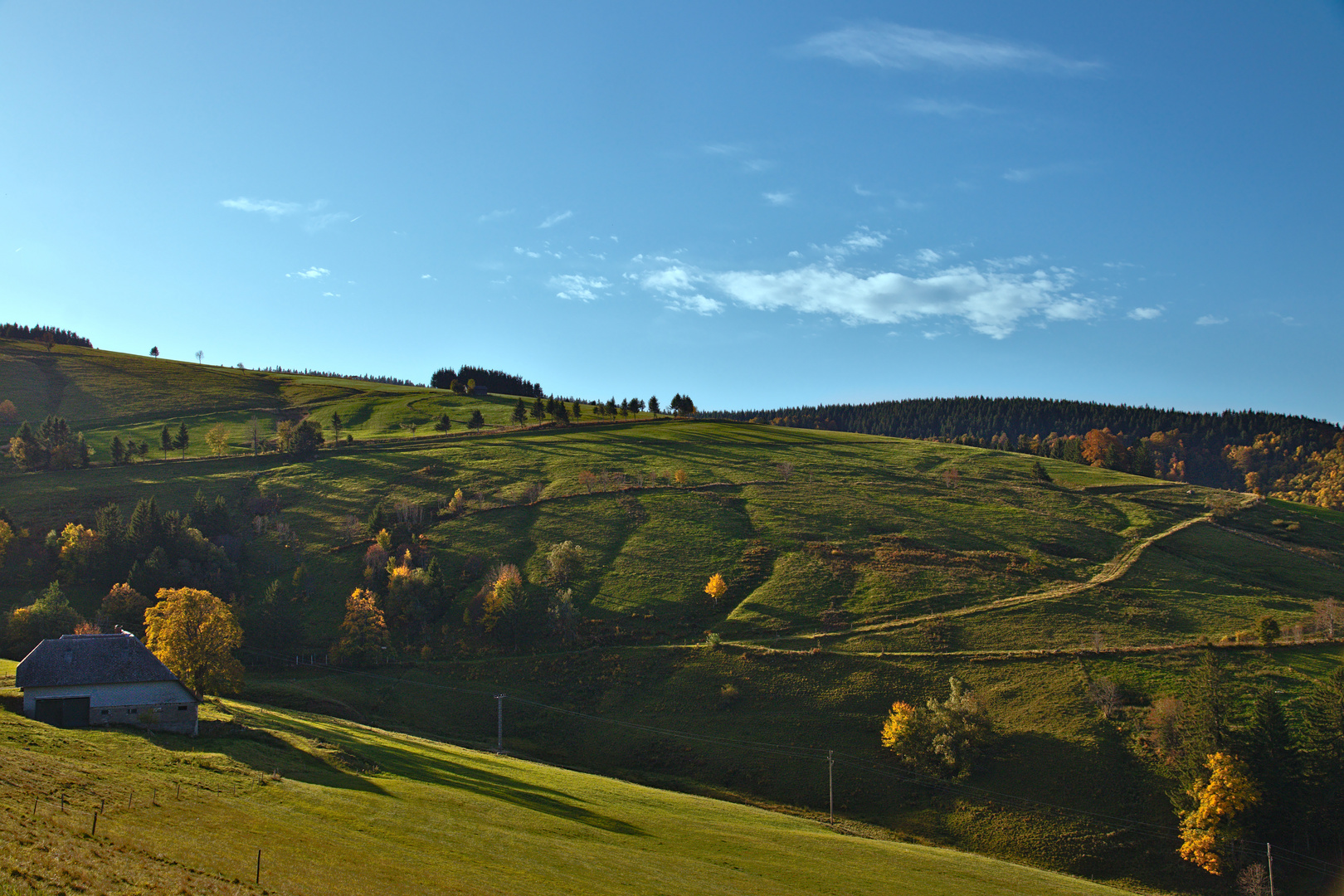 Lange Morgenschatten ...