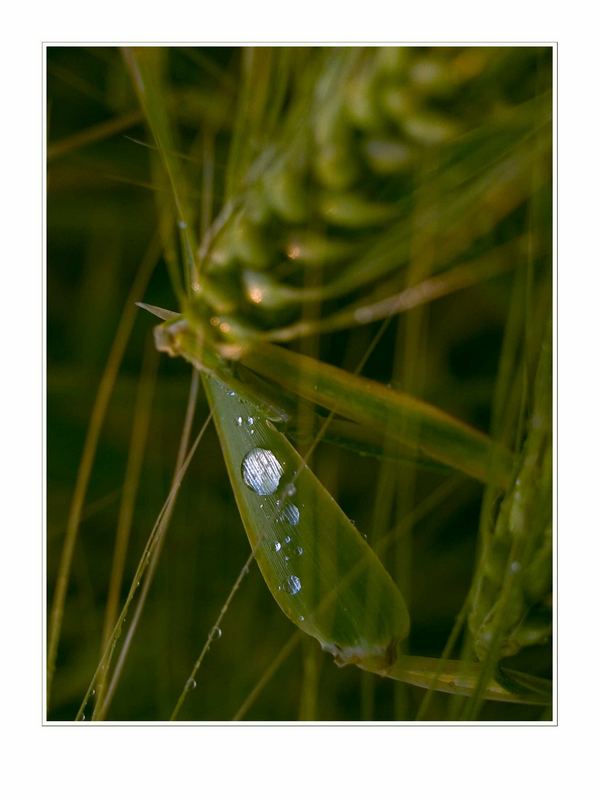 Lange nach dem Regen