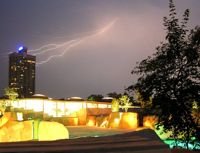 Lange Nacht im Kölner Zoo