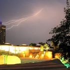 Lange Nacht im Kölner Zoo