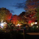 Lange Nacht im Kölner Zoo (Flora)