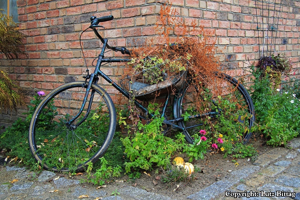 Lange nicht mehr Fahrrad gefahren?